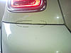 Pepper white paint problem or not?-snc00069.jpg