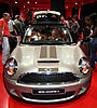 Sparkling Silver Stripes-tan.jpg