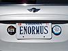 My new Camden vanity plates!-img_1946.jpg