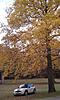 2009 Pepper White - MC Fall in NE-imag0188a.jpg