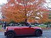 The Official Spice Orange Owners Club-wp_000207.jpg