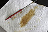 How can I be sure my dealer changed my oil?-mini_oil_color.jpg