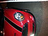 Stupid deer...-20131022_185430.jpg