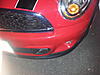 Stupid deer...-20131022_185437.jpg