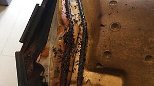 MINI R57 Roof Leak Repair Guide-norezzu.jpg