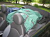 Don't Underestimate the Mighty MINI-img_3350.jpg