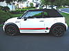 New Mini Laurel-img_4041.jpg