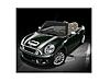Silver Bonnet Stripes-my-mini.jpg