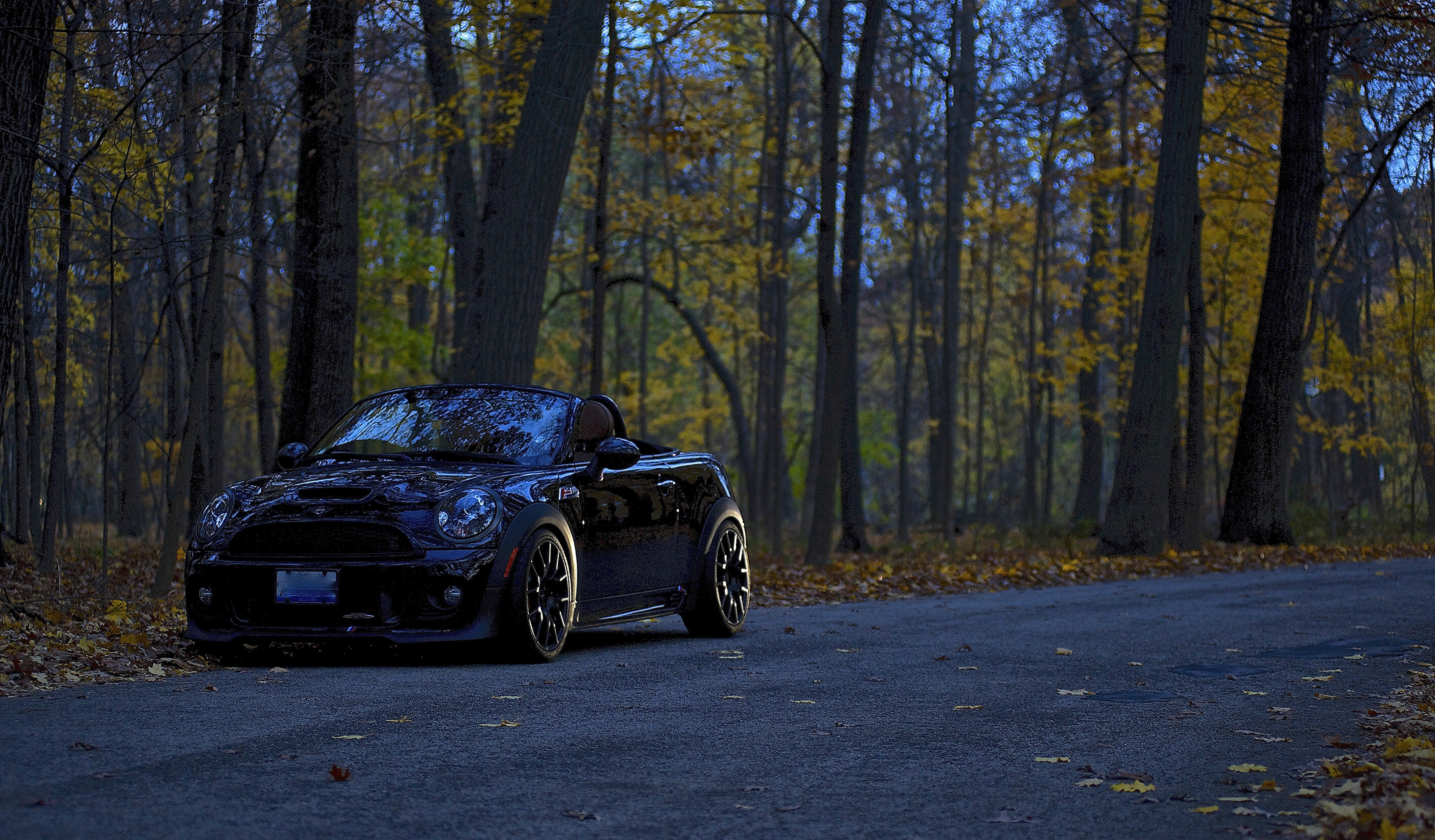 Name:  _DSC7029_zpsb13bae3a.jpg
Views: 394
Size:  10.99 MB