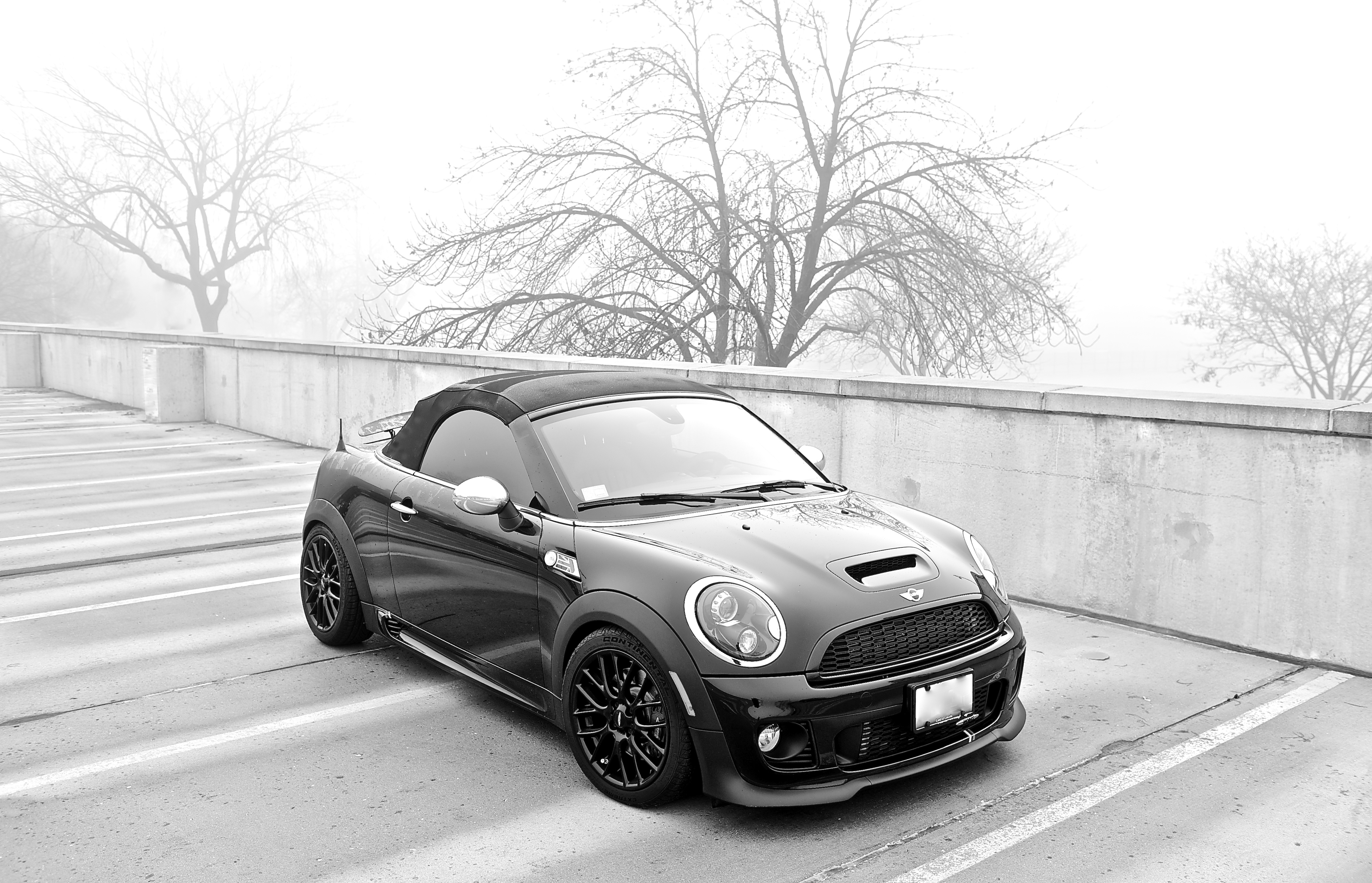 Name:  BWRoadster-Fog.jpg
Views: 482
Size:  4.92 MB