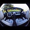Meet Pippa, Our New Roadster S-pippa_004.jpg