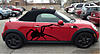 Post your R59 Roadster pics here.-image-2121887256.jpg