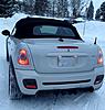 Tyrannus-img_3865.jpg