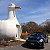 Post your R59 Roadster pics here.-image-1547067292.jpg