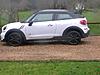Getting Paceman in about a week, have concerns...-image.jpg