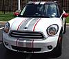 Post your Paceman! Show off those pictures!-mikki-w-new-stripes-5-2104.jpg