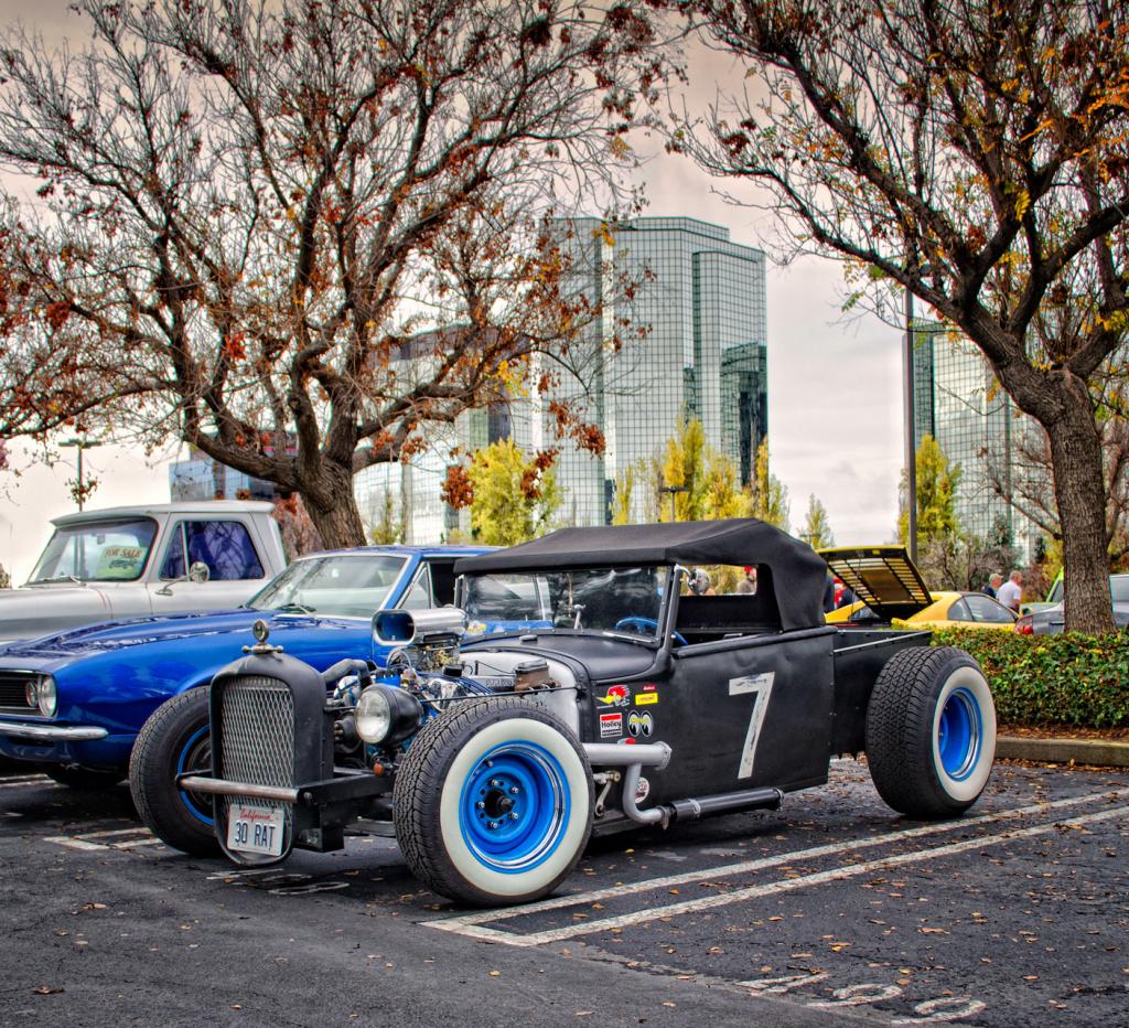 Name:  DSC_3176.jpg
Views: 14
Size:  254.3 KB