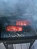 What did you bbq today?-photo-3.jpg