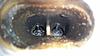 Intake valves horribly coated with oily black goo after 15,000 miles, half a** job!!-20150712_192841.jpg