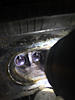 Walnut blasting time!-photo124.jpg