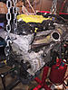 Walnut blasting time!-photo135.jpg