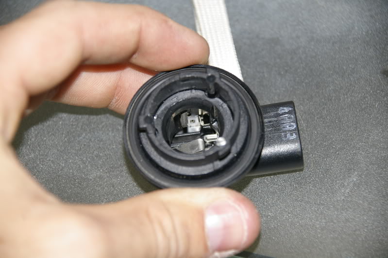 Name:  _IGP0239.jpg
Views: 8738
Size:  67.9 KB