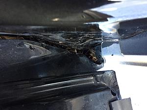 Leaves in Bodywork Can't Remove-img_5604.jpg