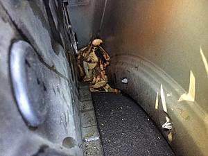 Leaves in Bodywork Can't Remove-img_5605.jpg