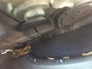 Leaves in Bodywork Can't Remove-img_5606.jpg
