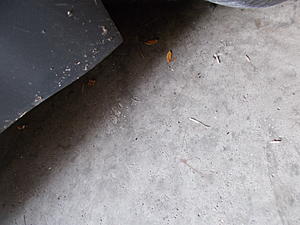 Losing windshield washer fluid.-dscn0590.jpg