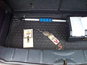 Rat damage, can you help me identify wires?-mini-rat-option-1-.jpg