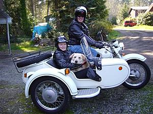 Unusual Oil Problem-readyforaride.jpg