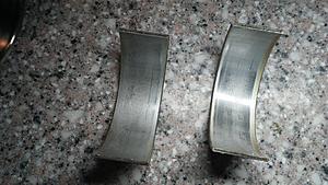 Timing Chain Broke 09 Mini Velocity Damage-bearings.jpg