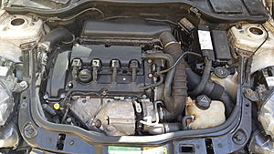 Engine leak ?-20180312_142041.jpg