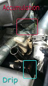 Coolant leak- accumulation on top of supercharger??-picsart_09-25-06.40.42.jpg