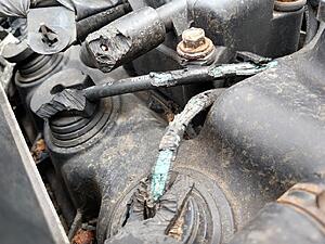 Rust :: door sill area of '02-'05 MINIs-6byvrc5.jpg