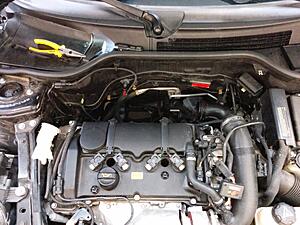 N14/N18 Carbon Buildup TESTER NEEDED-mm5vx09.jpg