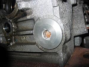 Pulled plug #2, soaked in oil and metal bits...-xmliw.jpg