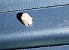 2009 scoop melting???-detail-picture.jpg