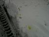 quick diognosis please (yellow liquid)-picture-044.jpg