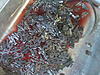 This came out when my dad was removing the oil pan!-img00969.jpg