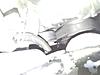 Serpentine belt wear prematurely/strangely-snc00181.jpg