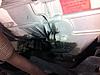 Leaking Oil/Coolant Again!-leak2.jpg