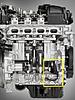 Oil leak R56-engine_back.jpg
