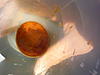 Gunk found in oil catch can-sludge1.jpg