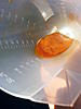 Gunk found in oil catch can-sludge2.jpg