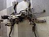 Front control arm bushings-image.jpg