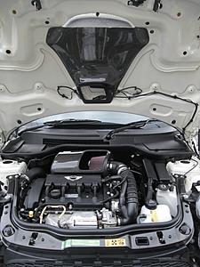 Fitment of Strut Brace and Intake Combo Reference-rd-hood-scoop.jpg