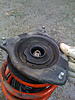 Who makes the best anti-mushrooming plates?-img_0077.jpg