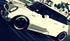pics of bagged minis-402576_270148806379546_100001532859259_739328_218882099_n.jpg